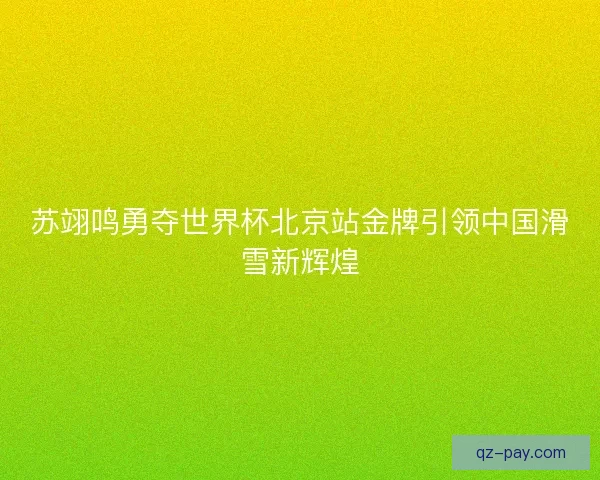 苏翊鸣勇夺世界杯北京站金牌引领中国滑雪新辉煌